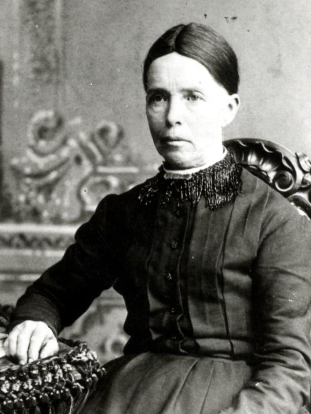 Sarah Ann Hoopes (1830 - 1910) Profile